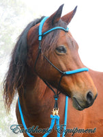 Padded riding halter without chinstrap, V brow