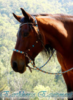 Riding halter/bitless bridle sidepull with simple chinstrap, dark brown, "Arizona Sky"