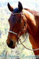 Riding halter/bitless bridle sidepull with simple chinstrap, dark brown, "Arizona Sky"