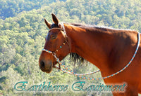 Riding halter/bitless bridle sidepull with simple chinstrap, dark brown, "Arizona Sky"