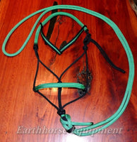 Padded riding halter without chinstrap, V brow