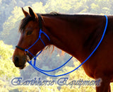 Sliding chin riding halter, padded Royal blue with black padding.
