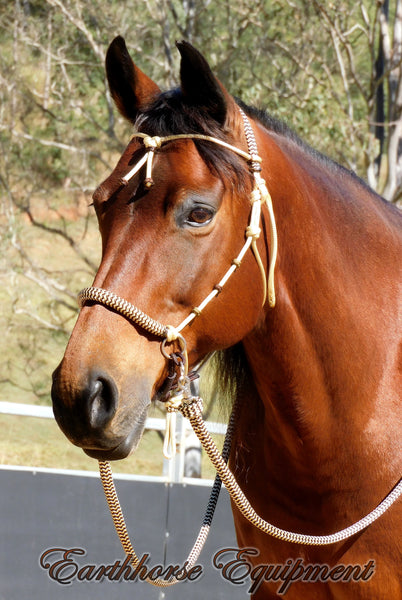 Sliding chin riding halter/Marine rope reins set with western brow, beige, dark brown zz, turks head accents.
