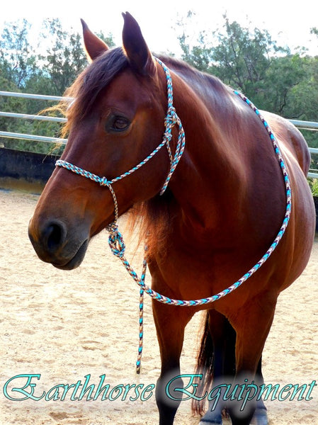 Standard halter and 2.5 mt loop on lead set "Arizona Sky" (Copy)