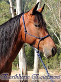 Standard halter and 2.5 mt loop on lead set NAVY