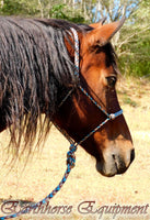 Standard halter and 2.5 mt loop on lead set "Arizona Sky" (Copy)