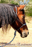 Standard halter and 2.5 mt loop on lead set "Arizona Sky" (Copy)