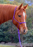 Standard halter and 2.5 mt loop on lead set PURPLE
