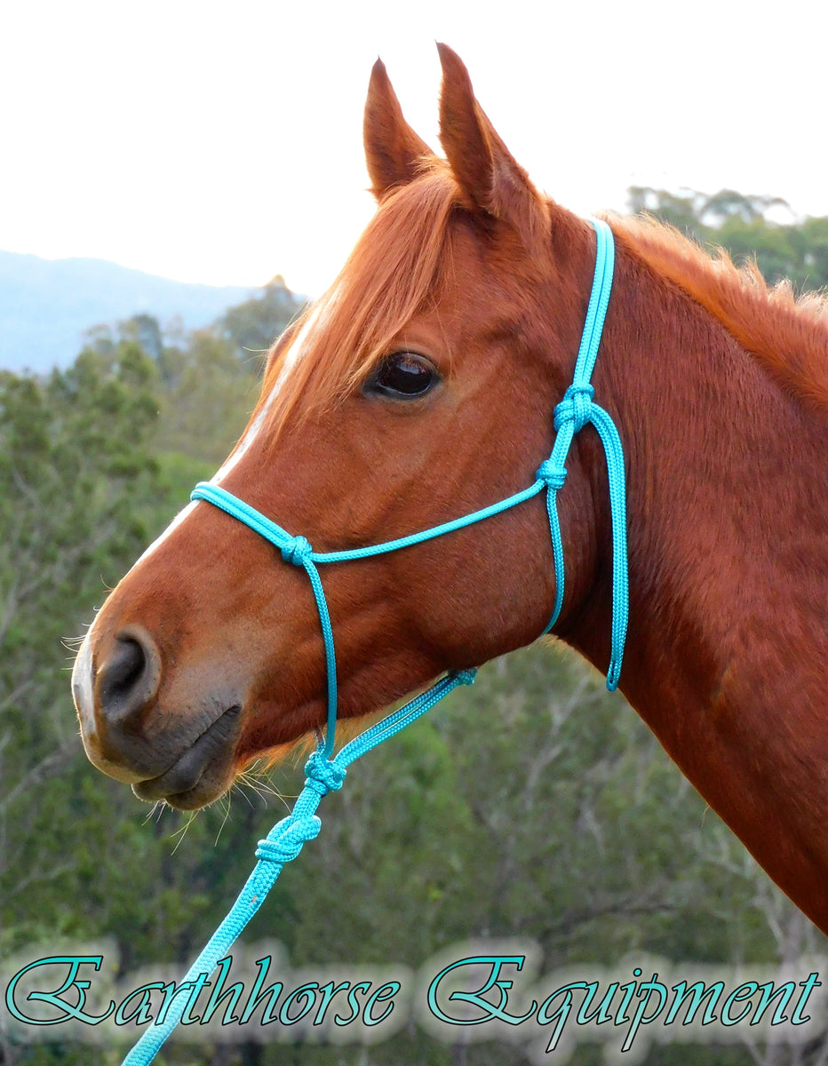 Standard halter,TURQUOISE Equestrian rope, choose size – Earthhorse ...